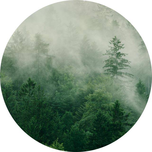 Yangzhou Suxiang Medical Instrument Co.、Ltd。